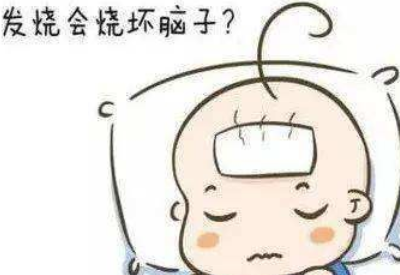 芭乐APP下载官方下载IOS网站品牌揭示发烧真的会烧坏脑子吗